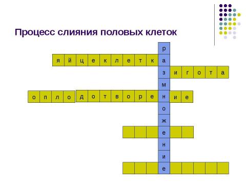 Презентация на тему "Внутриутробное развитие человека" по биологии