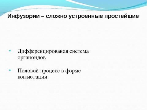 Презентация на тему "Биологический аукцион «Простейшие»" по биологии