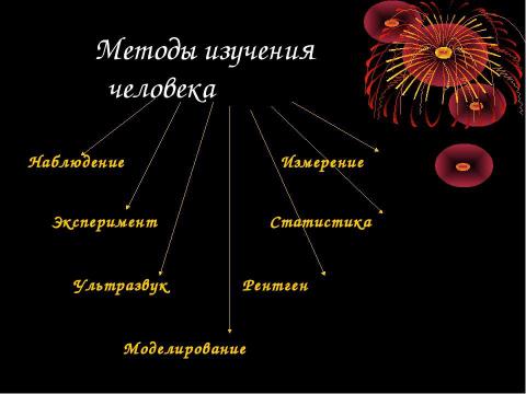 Презентация на тему "Эволюция развития человека" по биологии