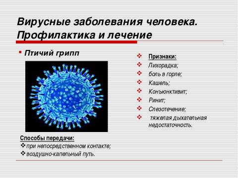 Презентация на тему "Неклеточные формы жизни. Вирусные заболевания человека" по медицине