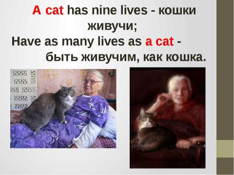 Презентация на тему "Кошки в истории, обществе, в английской и русском языках и литературе разных стран" по литературе