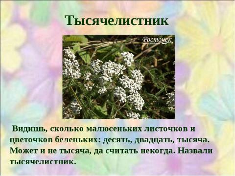 Презентация на тему "Почему они так называются?" по окружающему миру