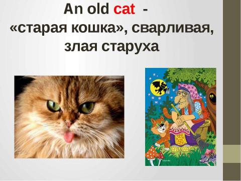 Презентация на тему "Кошки в истории, обществе, в английской и русском языках и литературе разных стран" по литературе