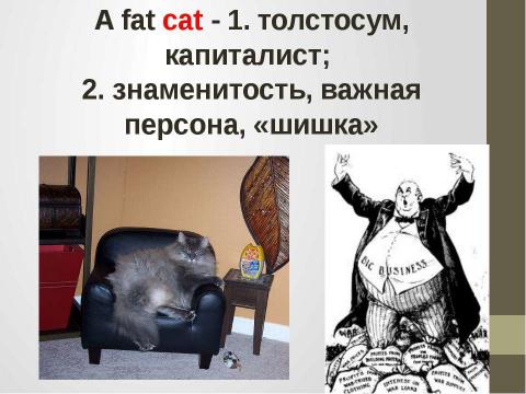 Презентация на тему "Кошки в истории, обществе, в английской и русском языках и литературе разных стран" по литературе