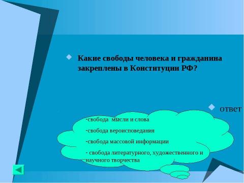 Презентация на тему "Основной закон государства" по педагогике