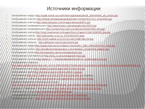 Презентация на тему "Экскурсия в лес" по географии