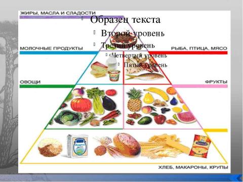 Презентация на тему "Питаемся правильно" по ОБЖ