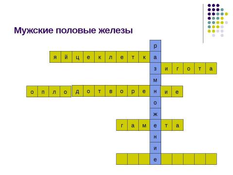 Презентация на тему "Внутриутробное развитие человека" по биологии