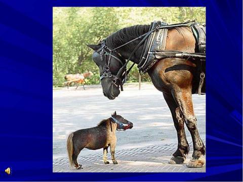 Презентация на тему "Движение - это жизнь" по начальной школе