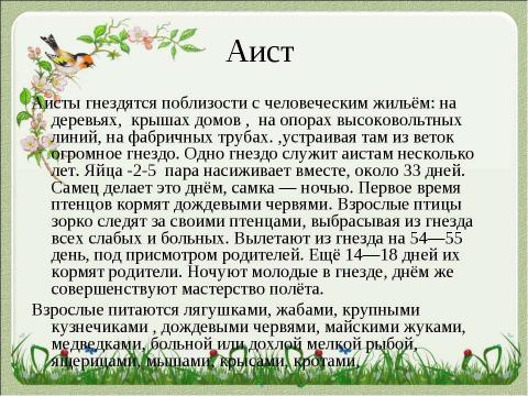 Презентация на тему "Летят перелётные птицы" по начальной школе