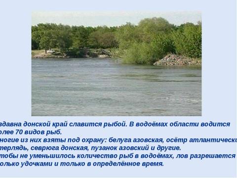 Презентация на тему "Красная книга Ростовской области. Животные" по биологии