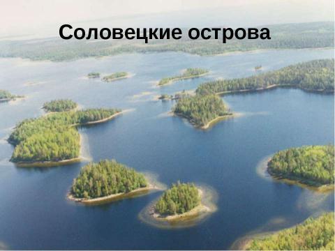 Презентация на тему "Белое море" по окружающему миру