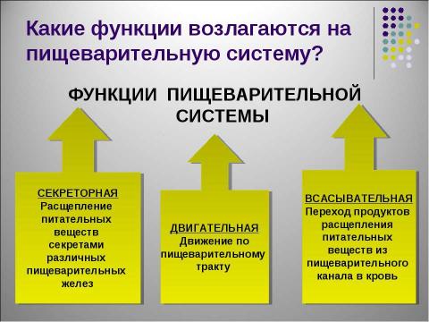 Презентация на тему "Пищевые продукты, питательные вещества и их превращения в организме" по биологии