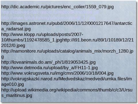 Презентация на тему "Где живут белые Медведи?" по начальной школе