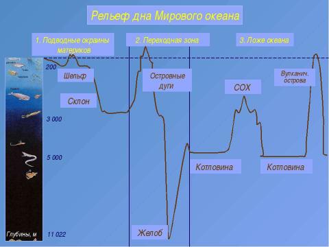 Презентация на тему "Рельеф дна Мирового океана" по географии