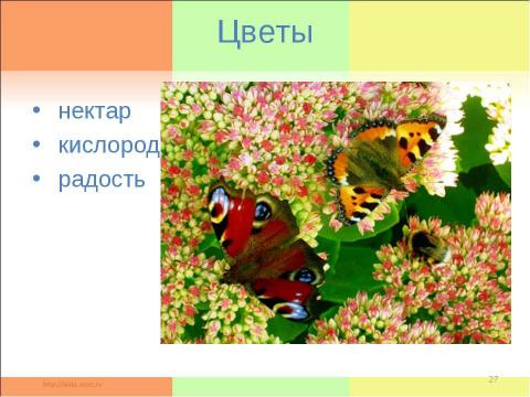 Презентация на тему "Растениеводство в нашем крае" по окружающему миру