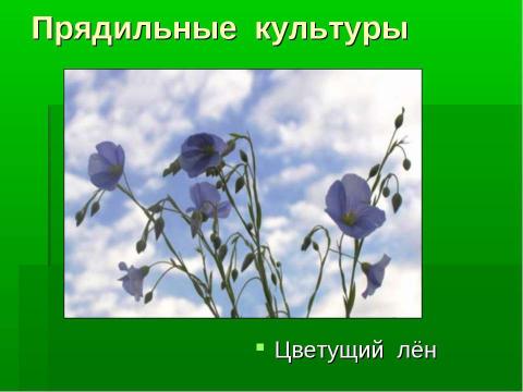 Презентация на тему "Культурные и дикорастущие растения" по биологии