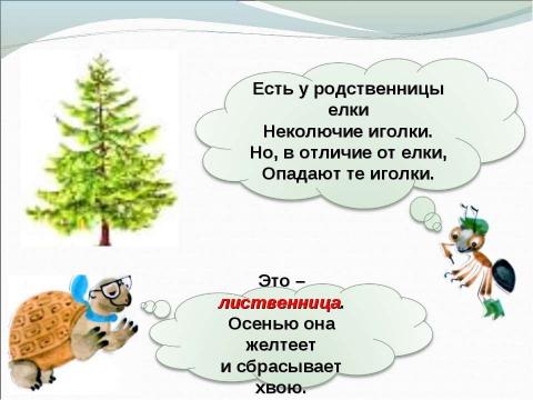 Презентация на тему "Что такое хвоинки" по окружающему миру