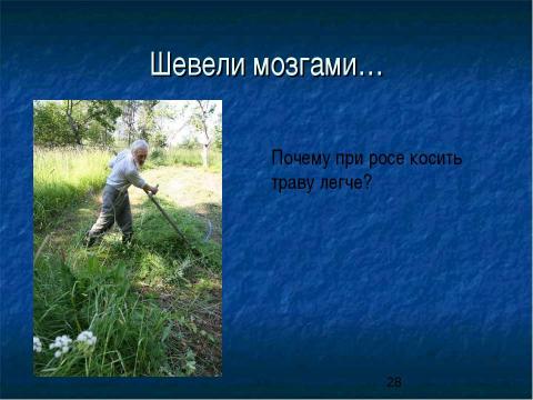 Презентация на тему "Сила трения. Трение в природе и технике" по физике