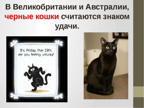 Презентация на тему "Кошки в истории, обществе, в английской и русском языках и литературе разных стран" по литературе