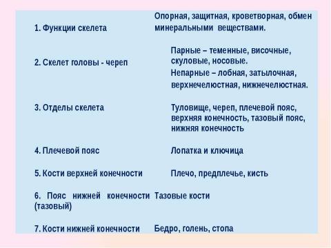 Презентация на тему "Скелет челоаека" по биологии