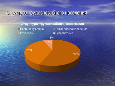 Презентация на тему "Население п.Светлый" по биологии