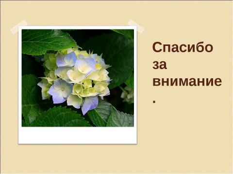 Презентация на тему "Нейроспид. Неврологические расстройства при ВИЧ-инфекции" по медицине