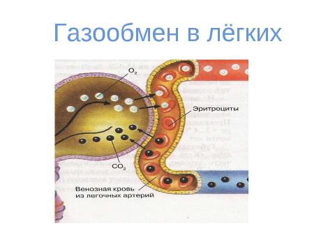 Презентация на тему "вода" по физике