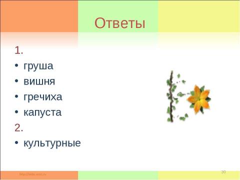 Презентация на тему "Растениеводство в нашем крае" по окружающему миру