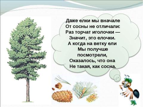 Презентация на тему "Что такое хвоинки" по окружающему миру