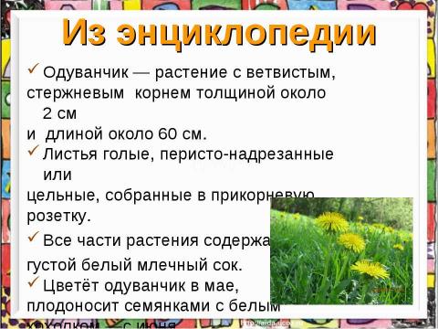 Презентация на тему "Рисуем одуванчик" по технологии