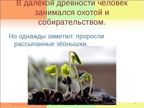 Презентация на тему "Растениеводство в нашем крае" по окружающему миру