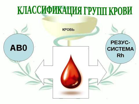 Презентация на тему "Тайная мудрость организма" по биологии