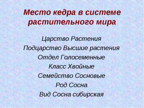 Презентация на тему "Кедр – легенда Сибири" по экологии