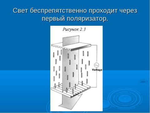 Презентация на тему "LCD мониторы" по информатике