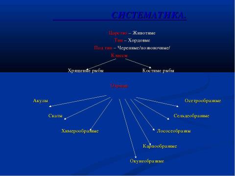 Презентация на тему "Рыбы" по окружающему миру