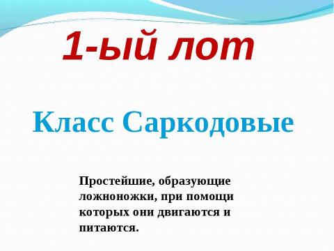 Презентация на тему "Биологический аукцион «Простейшие»" по биологии