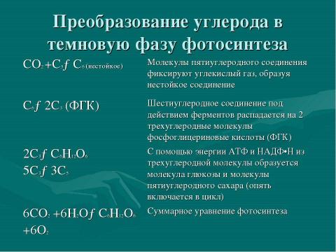 Презентация на тему "Темновая фаза фотосинтеза" по биологии