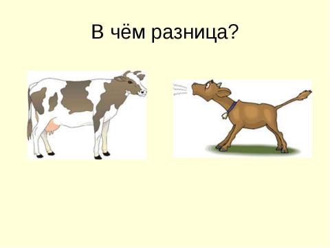 Презентация на тему "Обмен веществ в организме" по начальной школе