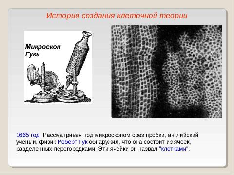 Презентация на тему "Клеточная теория 10 класс" по биологии