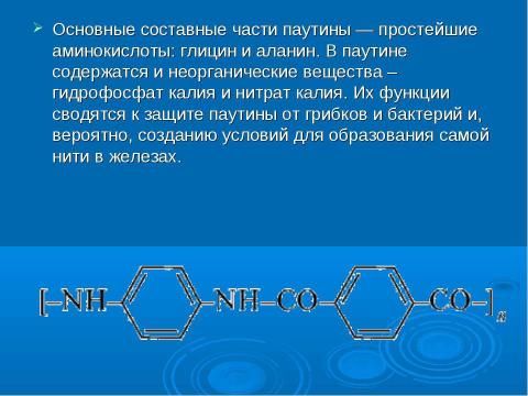 Презентация на тему "Из чего состоит паутина?" по химии