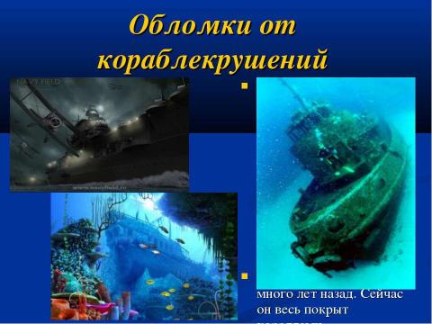 Презентация на тему "Моря. Загадки Подводного мира" по начальной школе