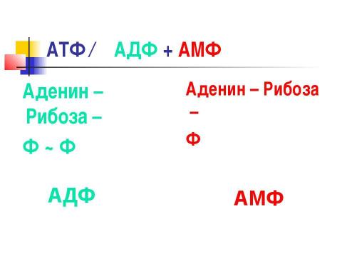 Презентация на тему "А Т Ф - аденозинтрифосфорная кислота" по биологии