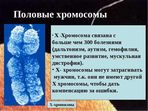 Презентация на тему "Генетика пола. Наследование, сцепленное с полом" по биологии