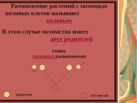 Презентация на тему "Размножение растений. Оплодотворение" по биологии