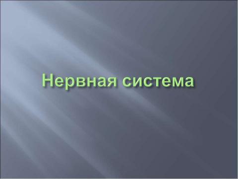 Презентация на тему "Координация и регуляция 6 класс" по биологии