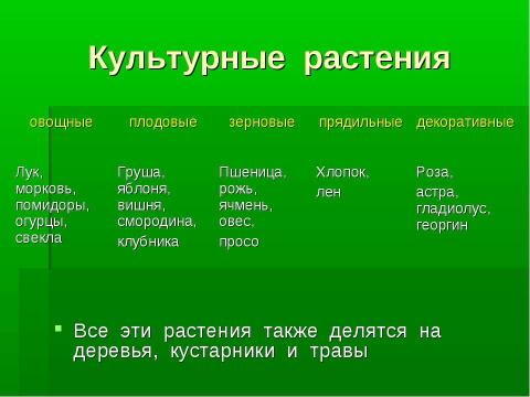 Презентация на тему "Культурные и дикорастущие растения" по биологии