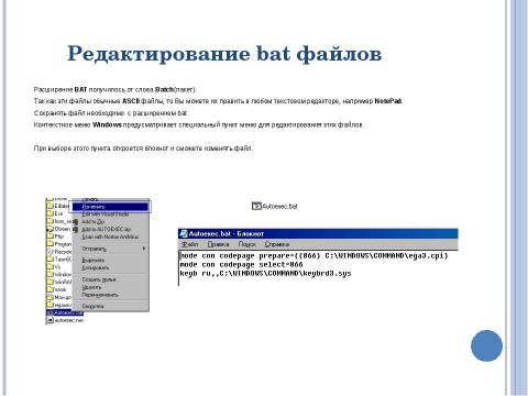 Презентация на тему "Файлы пакетной обработки" по информатике