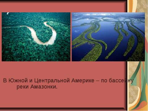 Презентация на тему "Тропический лес" по начальной школе