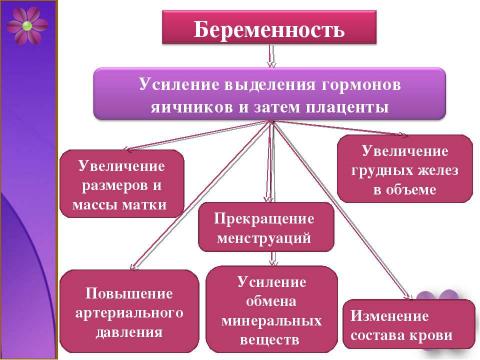 Презентация на тему "Развитие зародыша и плода. Беременность и роды" по медицине